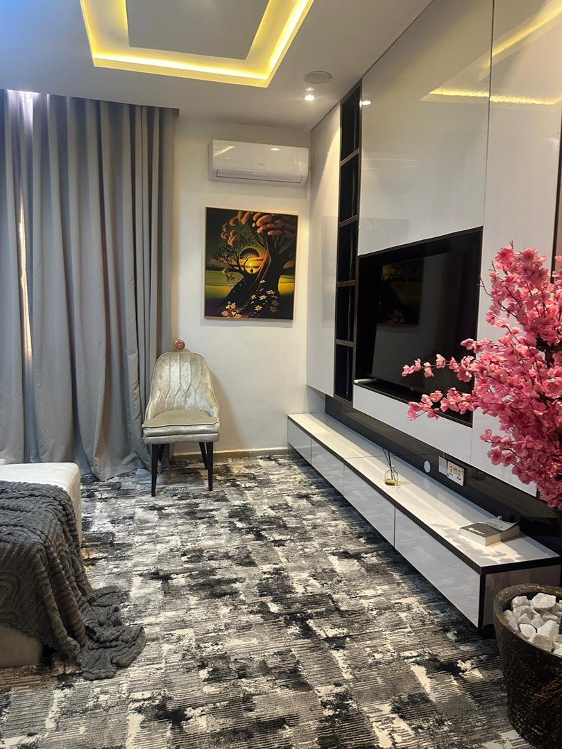 Nimpat apartment TV room